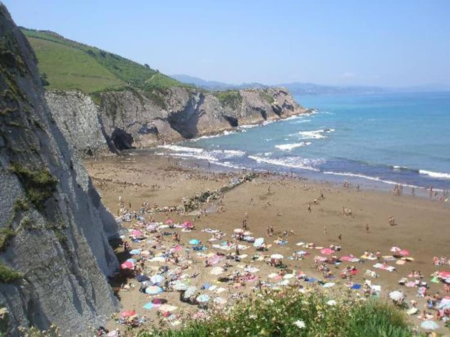 Apartamento Danae Centro Zumaia Extérieur photo